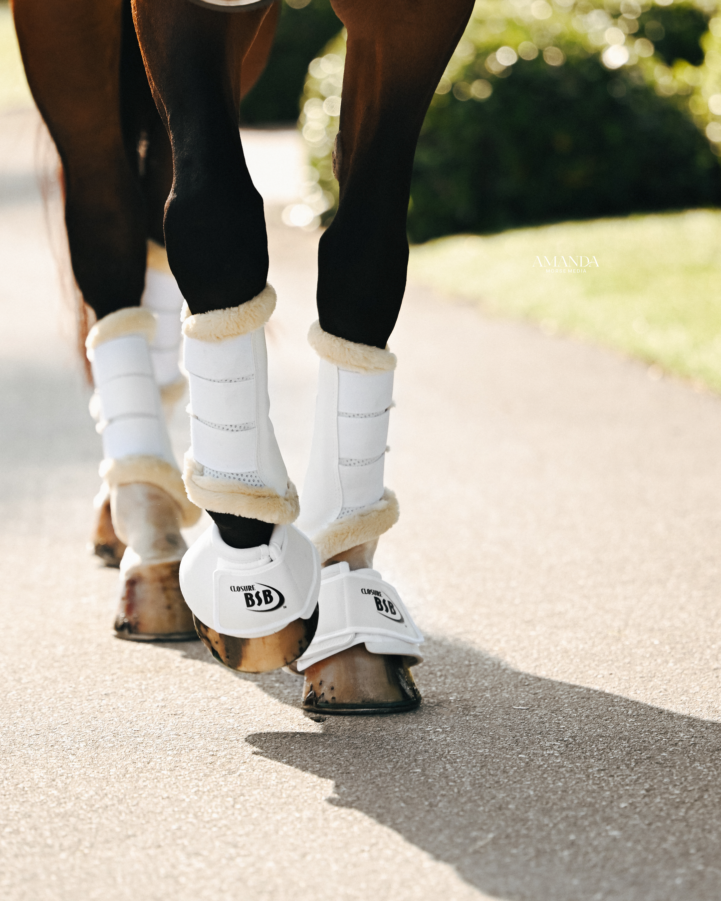 Cooler Dressage Sport Boot